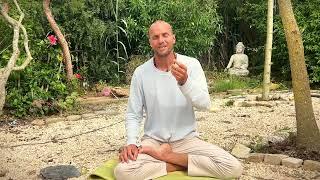 ‍️ Recharge and Reset: Calming 7-Minute Breathing Session ‍️