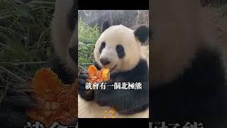 你不知道的冷知识