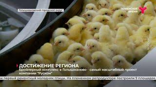 Достижение региона - бройлерный комплекс в Голышманово