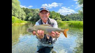 A flyfishing journey (Unec river)