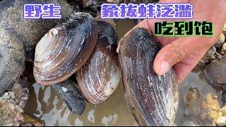 《环球探海记》阿曼~第2天：中东土豪都不吃象拔蚌吗？随便找一个沙滩都能挖到好多！"Global Quest" Oman ~ Day 2！