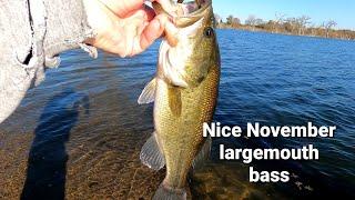 Dad catching a nice November largemouth Bass on fish lake.