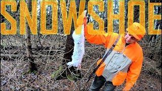 Snowshoe Hare Rabbit Hunting in the Catskill Mountains