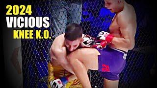 MMA K.O. Most VICIOUS Knee 2024 !