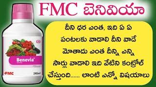 మిరపలో Benevia ఎలా వాడాలి Benevia Fmc telugu | Mirapalo Benevia use | Benivia Fmc | cyantraniliprole