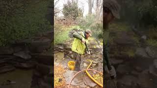 Backyard KOI POND gets Clean with Power Wash  | #shorts