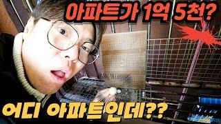 [부천아파트매매] 부천역 역세권 아파트가 1억 5천?? 무슨 아파트가 이렇게 싸지? [심곡동아파트]