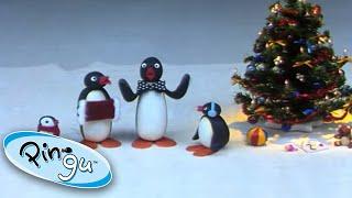 Pingu's Family Celebrate Christmas  Pingu | Cartoons for Kids