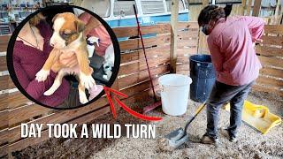 Cleaning The Stalls Turned Into An Unexpected Puppy Rescue Mission