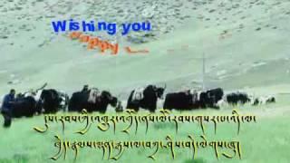 losar2137.flv