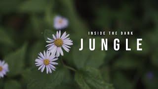 Inside the Dark Jungle Cinematic Video