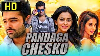 Pandaga Chesko - Ram Pothineni की सुपरहिट रोमांटिक मूवी | रकुल प्रीत सिंह, सोनल चौहान, ब्रह्मानंदम