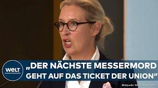 NEUWAHLEN: "Jeden Tag Taktiererei!" Alice Weidel tobt! AfD-Chefin schießt heftig gegen die Union