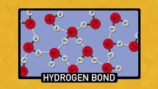 The Chemistry of Water | Chemistry Basics