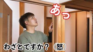 Japanese Carpenter's DIY: Replacing Our Cat-Damaged Door... You Won't Believe the Unexpected Ending！