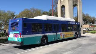 NCTD Breeze 2005 New Flyer Industries C40LF 2406on Route 353 @ Escondido Transit Center