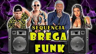 SEQUENCIA BREGA FUNK -  SELEÇÃO DAS MAIS TOPS DE 2024