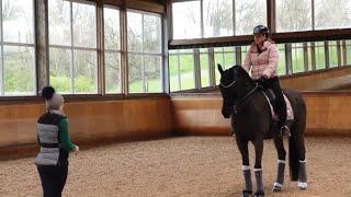 Dressage Horse Training | Canter