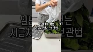 #오래두고먹는시금치보관법#섬초#시금치#섬초손질#섬초보관#시금치손질#시금치보관