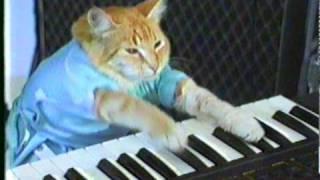 "Play Him Off, Keyboard Cat" by Charlie Schmidt