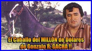 TUPAC AMARÚ : El Caballo de GONZALO Rodríguez GACHA