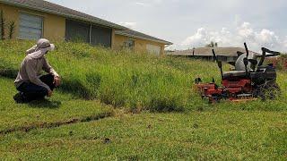 Mowing EXTREMELY Overgrown Lawn  |  Neighbors Show Support  |  Satisfying Transformation