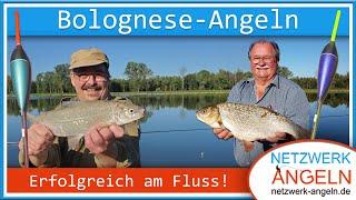 Bolognese Angeln für Einsteiger - Tipps & Tricks