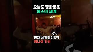 오늘도 평화로운 체스의 세계