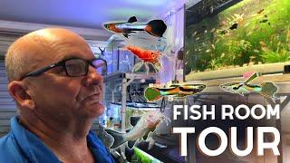 Breeding THOUSANDS of Fish in a Garage! Hobbyist Fish Room Tour!