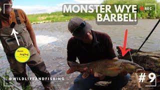 MONSTER Barbel | River Wye fishing with @AvonAnglingUK