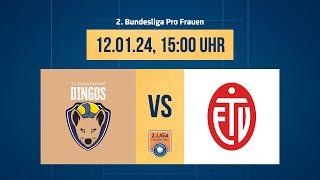 TV Dingolfing – ETV Hamburg (2. Volleyball Bundesliga Pro F 24/25)