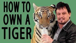 How to Own a Tiger - EPIC HOW TO