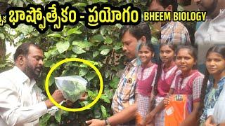 Transpirition in plants#భాష్ఫోత్సేకం#RamchanderBheemvamshi