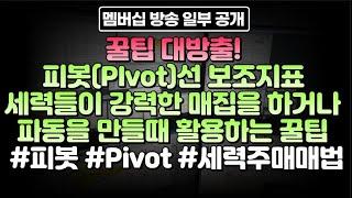 꿀팁 대방출! 피봇(PIvot)선 보조지표 세력들이 강력한 매집을 하거나 파동을 만들때 활용하는 꿀팁 #피봇 #Pivot #세력주매매법