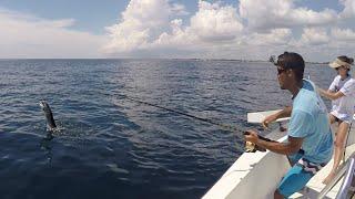 Epic Sailfishing Battle: Boca Raton Sailfish Charters With Captain Chris Agardy