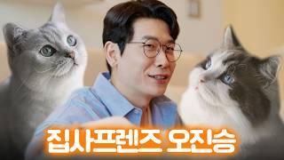 정신과 의사가 고양이를 키우면 벌어지는 일