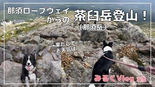 【愛犬と登山】旅行先で那須ロープウェイからの茶臼岳登山をするボーダーコリー！果たしてお天気は…？いい景色が見れたのか…？