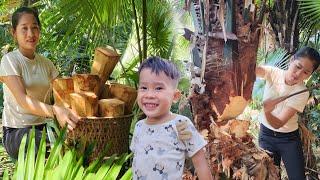 Single mother goes deep into the forest to sell brush heads at the market and repair the bridge