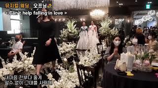 결혼식 오프닝 'Cant help falling in love' 부산뮤지컬웨딩