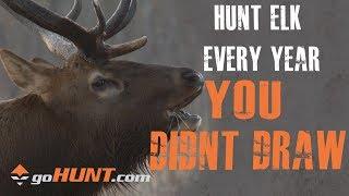 Hunt Elk Every Year: How You Can Still Hunt Elk This Year with goHUNT INSIDER