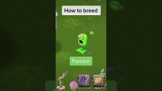 How to breed furcorn 