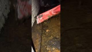 FCU || how sludge accumulated in Drain pan with out maintenance #accleaning #hvacservice #ofwksa
