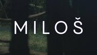 MILOŠ - The Moon & The Forest - Album Out Now (trailer)