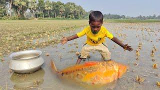 Amazing fishing video/traditional Little boy catching fish by hand in mud water #amazing_fishing