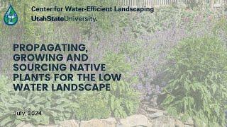 Propagating, Growing and Sourcing Native Plants for Low Water Landscapes