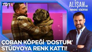 İlkay Tınastepe'nin çoban olarak yetiştirdiği köpeği ile macerası! | @AlisanileHayataGulumseTRT