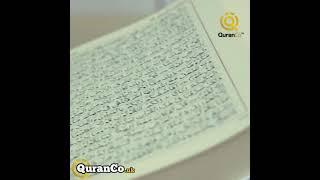 The Majestic Quran (Hardback) – English Translation with Arabic