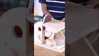 Built a 2-in-1 DIY Disc & Bobbin Sander for woodworking #shorts #woodworking #trending