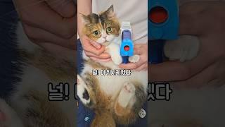 상여자식 고백하기️