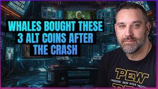 Whales Bought These 3 Alt Coins In Aug